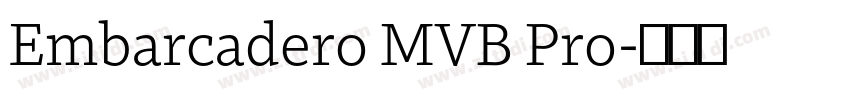 Embarcadero MVB Pro字体转换